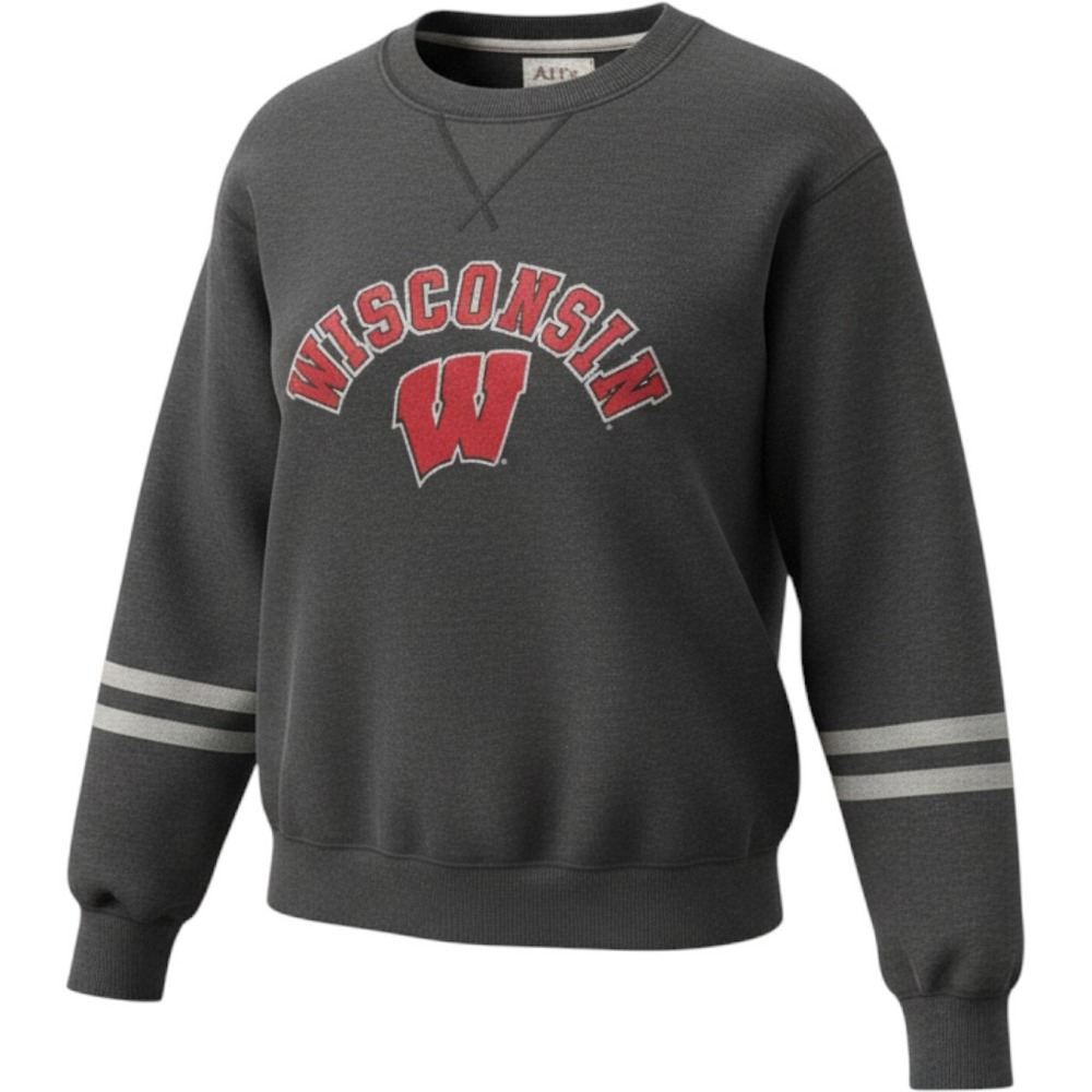 Alta Gracia Wisconsin Badgers Sweatshirt Charcoal Gray Crewneck Mens Small